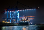 Container Terminal