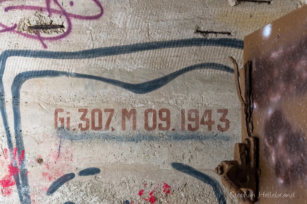 EOSR2603.jpg