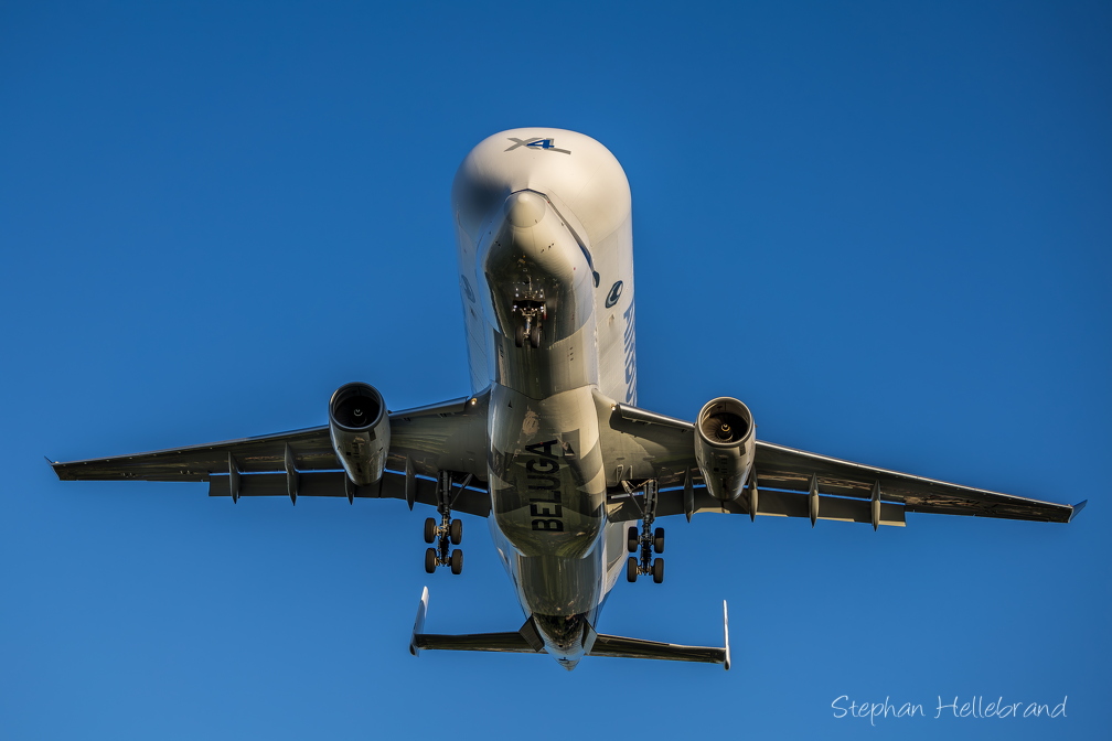 EOSR3371-Verbessert-RR.jpg